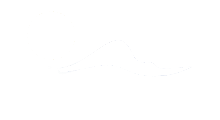 Lumière Salée